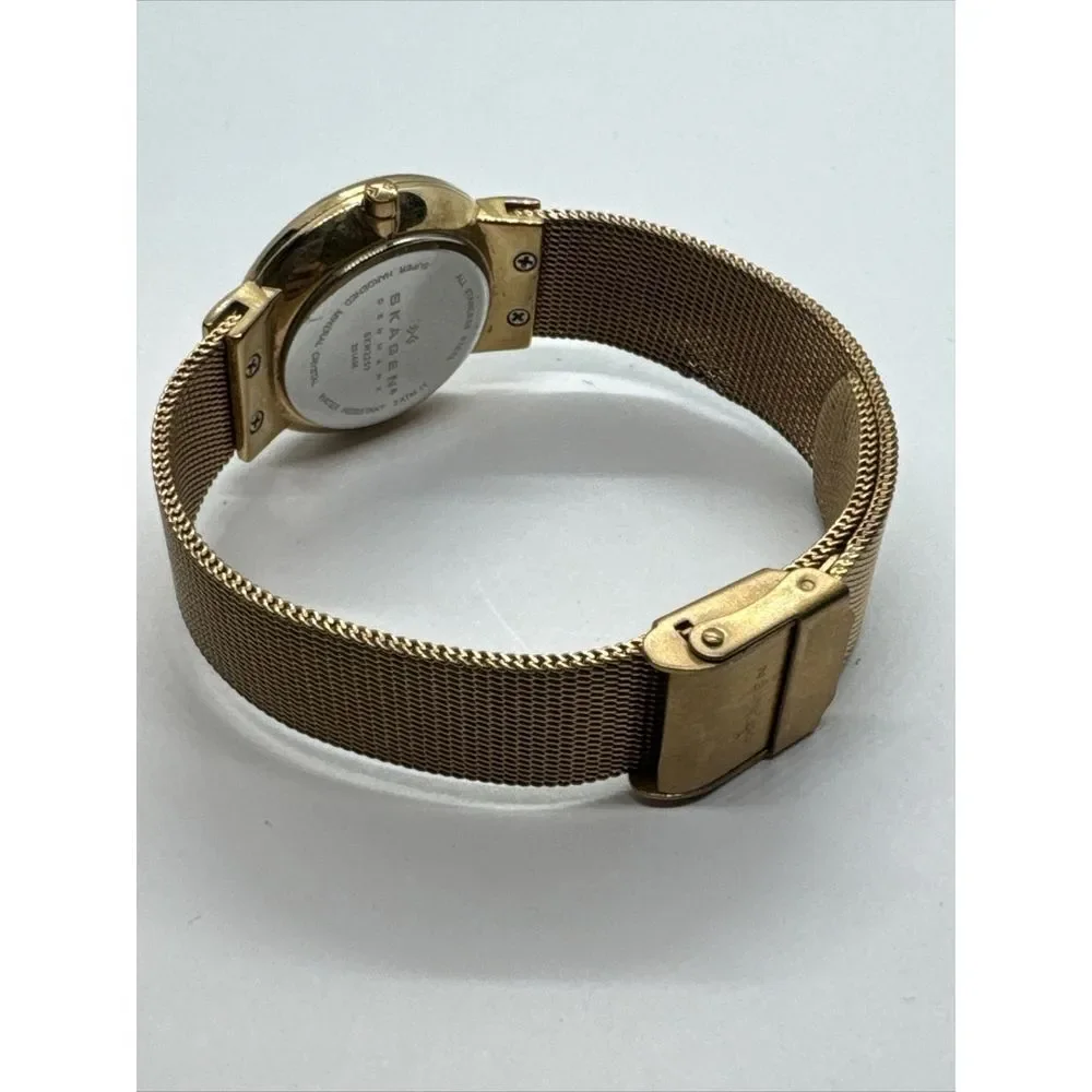 Unbranded skagen skw2253